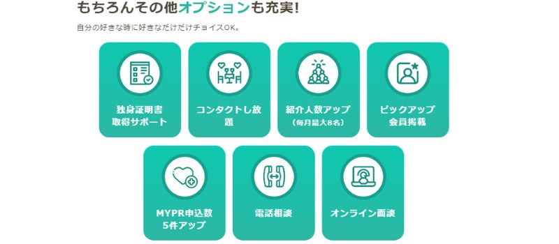 スマリッジ　料金　オプション