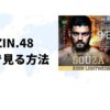 海外からRIZIN.48（ライジン）を視聴する方法【最安値は？】